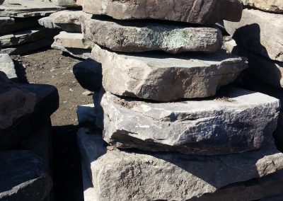 3 ft fieldstone steppers