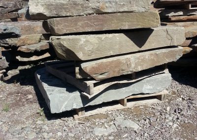 Natural Cleft Bluestone steps