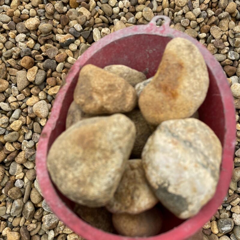 1 & 1 Half Inch Nevada Nuggets