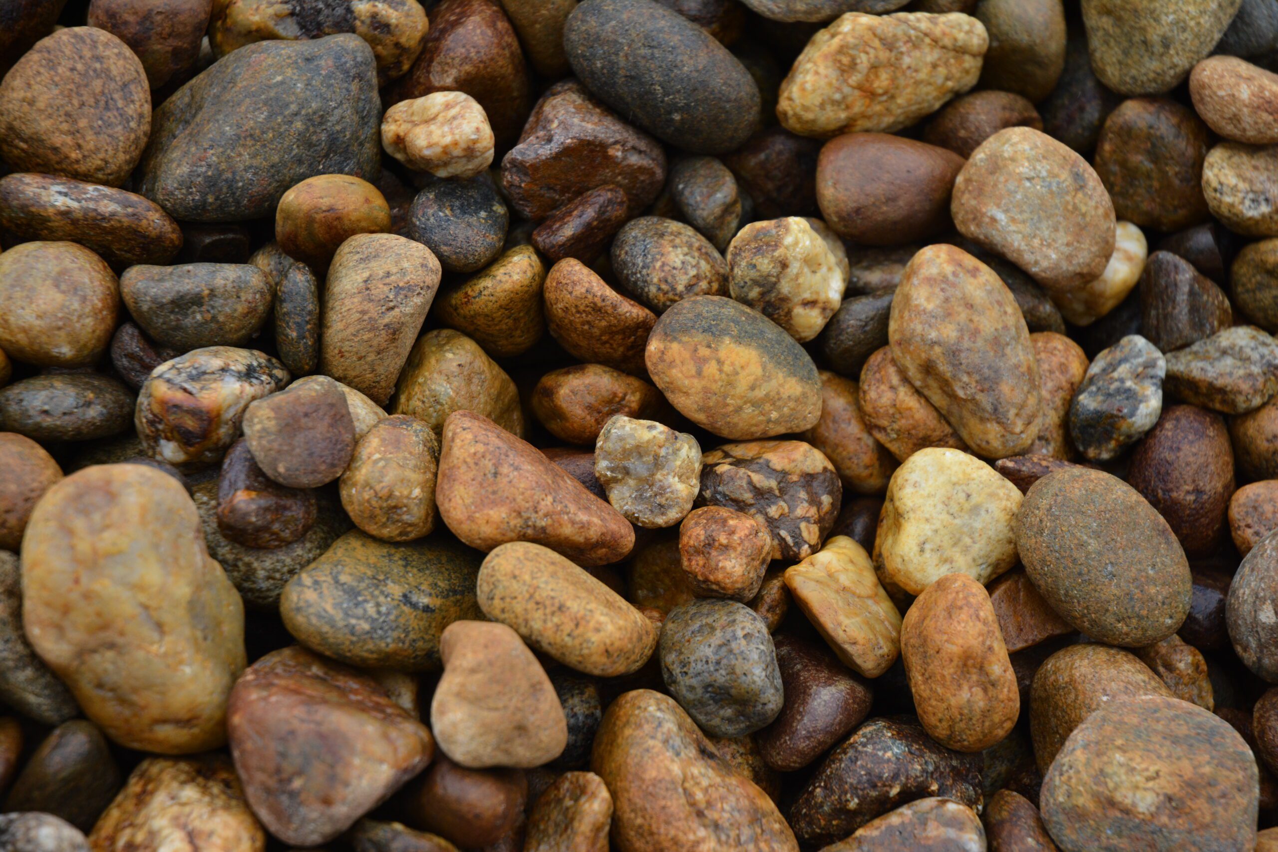 Nevada Nuggets 1 1/2 - Image 6