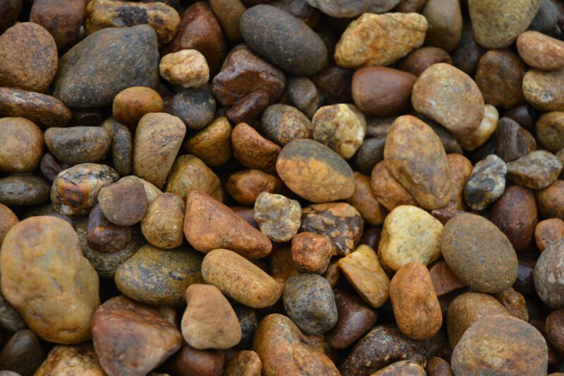 Nevada Nuggets 1 1/2