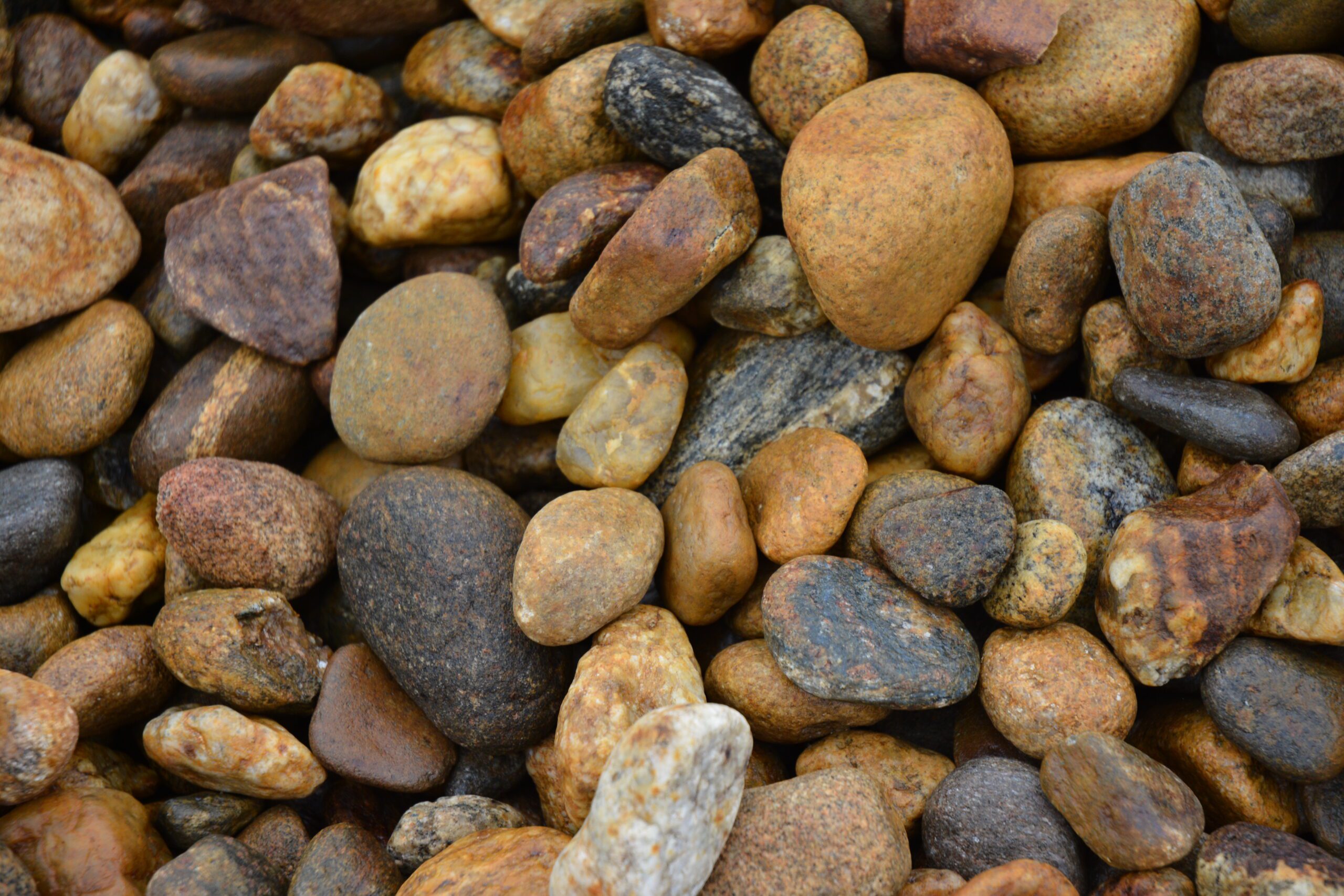 Nevada Nuggets 1 1/2 - Image 2