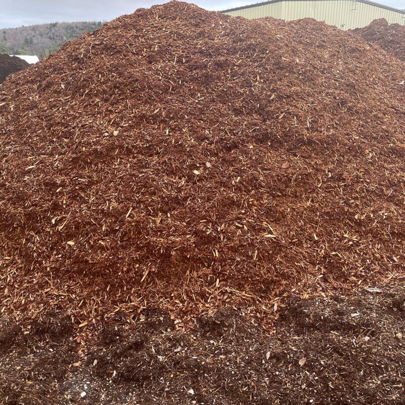 Hemlock Mulch