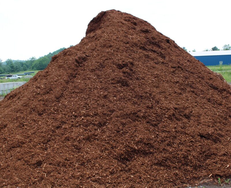 Hemlock Mulch