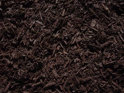 Spruce Pine Mulch