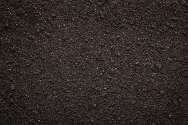 Compost